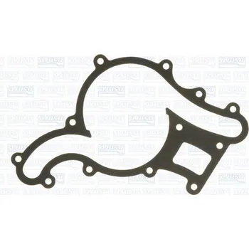 Chladič motoru Těsnění, vodní čerpadlo AJUSA 00298200