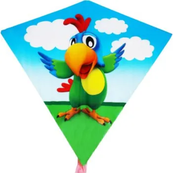 Hra na zahradu Létající drak 68 x 73 cm - Wiktor