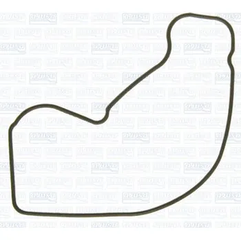 Chladič motoru Těsnění, vodní čerpadlo AJUSA 00614600