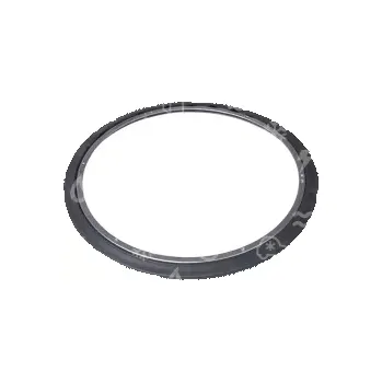 Praní a péče o prádlo těsnění bubnu sušičky BEKO / BLOMBERG, zadní, 2973800100