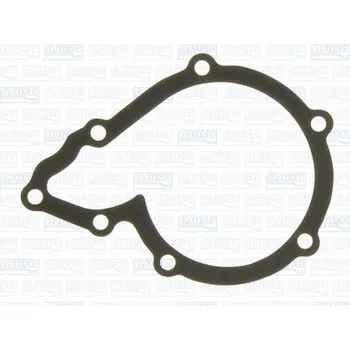 Chladič motoru Těsnění, vodní čerpadlo AJUSA 00309400