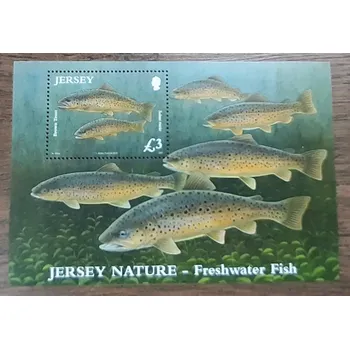 Poštovní známka Jersey ** aršík Bl 89 sladkovodní ryby, r. 2010