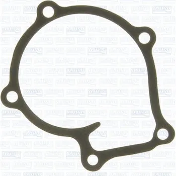 Chladič motoru Těsnění, vodní čerpadlo AJUSA 00679500