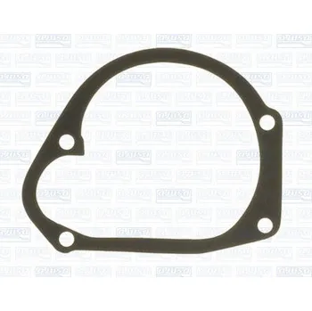 Chladič motoru Těsnění, vodní čerpadlo AJUSA 00165700