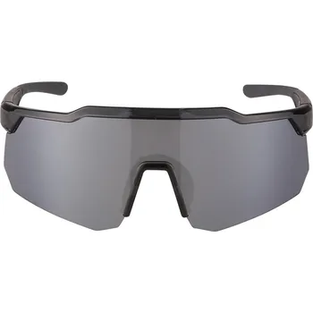 Unisex sluneční brýle ALPINE PRO Bedhe šedé Velikost: UNI