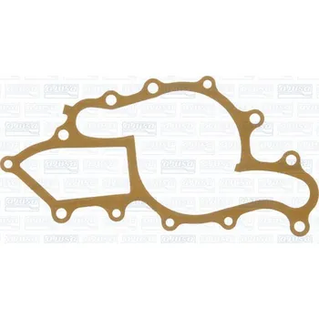 Chladič motoru Těsnění, vodní čerpadlo AJUSA 01008600