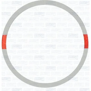 Válec motoru Těsnění, válcové pouzdro AJUSA 00078200