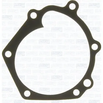 Chladič motoru Těsnění, vodní čerpadlo AJUSA 00287900