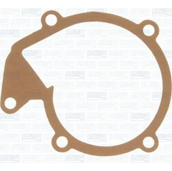 Chladič motoru Těsnění, vodní čerpadlo AJUSA 00201100