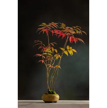 Topidlo Topný infrapanel s obrazem - 17 Rámy: Černý, Výkon a rozměr: 360 W – 89 cm × 54 cm (15 m³)