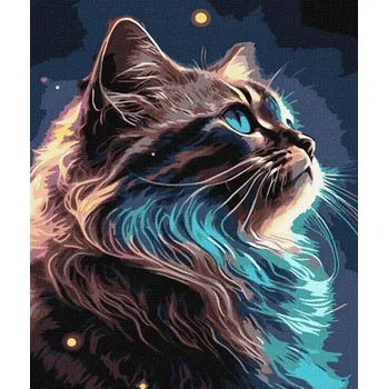 Obraz Obraz Malování podle čísel 40x50 IDEYKA NA RÁMU