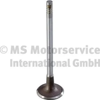 Motor automobilu Sací ventil KOLBENSCHMIDT 189000