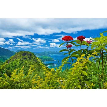 Infrazářič Topný infrapanel s obrazem - 98 Rámy: Černý, Výkon a rozměr: 500 W – 104 cm × 54 cm (20 m³)