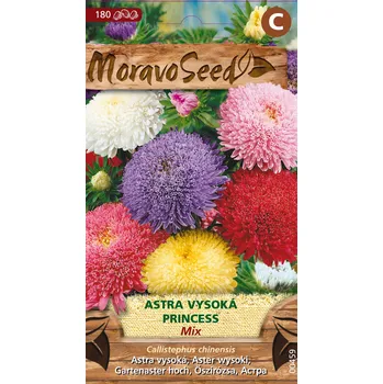 Semeno Astra čínská vysoká Princess, osivo