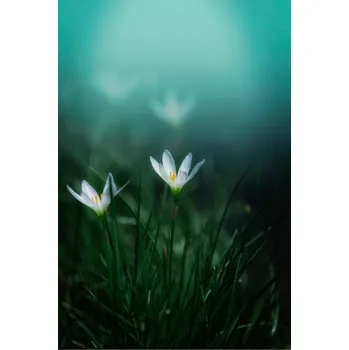 Infrazářič Topný infrapanel s obrazem - 16 Rámy: Černý, Výkon a rozměr: 500 W – 104 cm × 54 cm (20 m³)