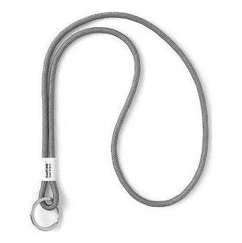 PANTONE Poutko na klíče L - Cool Gray 9