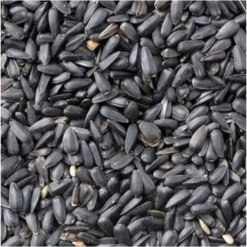 Krmivo pro ptáka animALL Slunečnice černá 10 kg