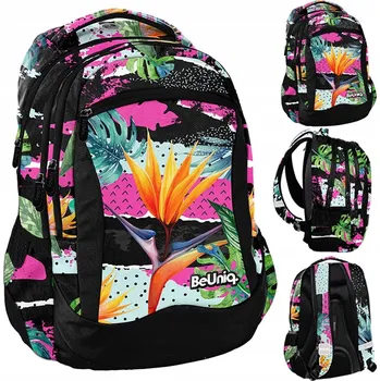 Školní batoh Školní batoh Paso s více přihrádkami, vícebarevný, 20 l