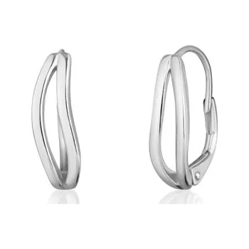 Módní doplněk Dámské stříbrné náušnice STNAU1583F