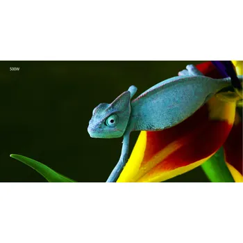 Infrazářič Topný infrapanel s obrazem - 50 Rámy: Výběr jiného rámu, Výkon a rozměr: 500 W – 104 cm × 54 cm (20 m³)