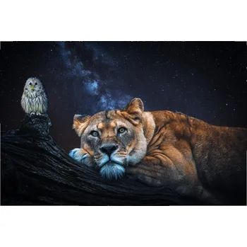 Přímotop Topný infrapanel s obrazem - 32 Rámy: Hnědý, Výkon a rozměr: 360 W – 89 cm × 54 cm (15 m³)