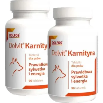 Dolvit Karnityna 2x90 tablet