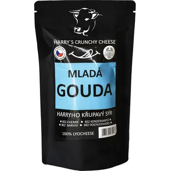 Křupavý sýr Mladá Gouda 100g