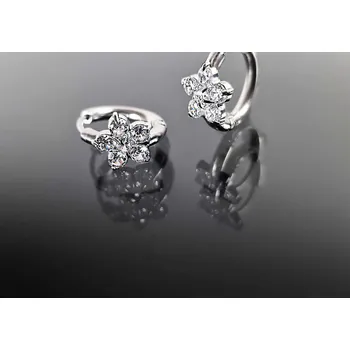 Náušnice Ocelové náušnice zabalené v dárkové krabičce č. 1201 - Čirá