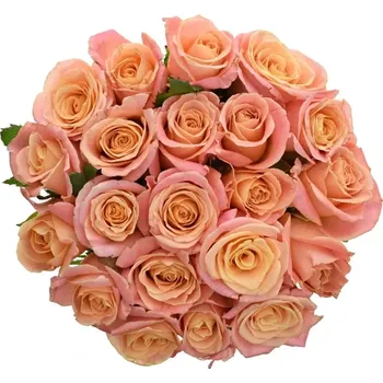 umělá květina Kytice 21 růžových růží MISS PIGGY 40cm