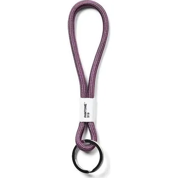 PANTONE Poutko na klíče S - Violet 519