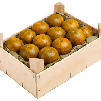 Pomeranče čokoládové karton 4kg