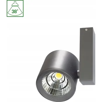 Chloe COB LED 230V 28W IP20 24° Teplá bílá Stropní Svítidlo Stříbrné