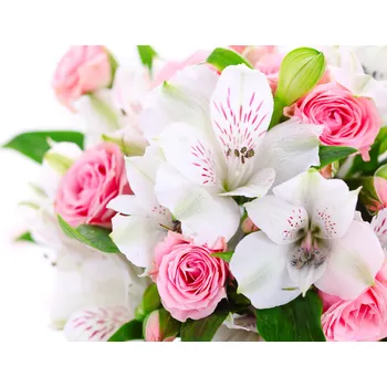 Topidlo Topný infrapanel s obrazem - 112 Rámy: Bílý, Výkon a rozměr: 360 W – 89 cm × 54 cm (15 m³)