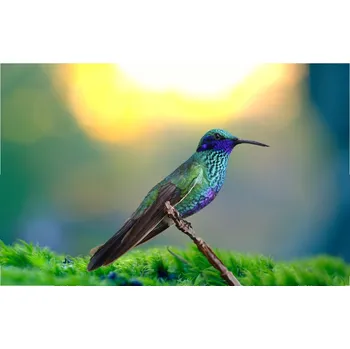 Přímotop Topný infrapanel s obrazem - 66 Rámy: Bordó, Výkon a rozměr: 360 W – 89 cm × 54 cm (15 m³)