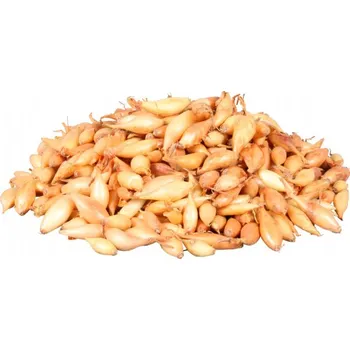 Semeno SAZEČKA CIBULE - BIRNFORMIGE žlutá podlouhlá Hmotnost: 10 kg