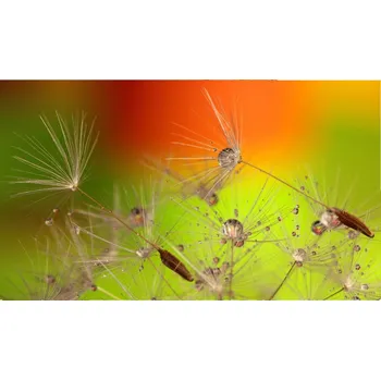 Infrazářič Topný infrapanel s obrazem - 25 Rámy: Černý, Výkon a rozměr: 900 W – 123 cm × 80 cm (38 m³)