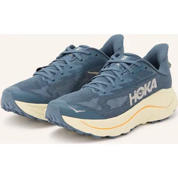 Pánské tenisky Hoka Pánské Boty Na Trailový Běh Challenger 8, modrá / šedá,...