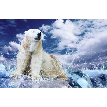 Infrazářič Topný infrapanel s obrazem - 82 Rámy: Černý, Výkon a rozměr: 500 W – 104 cm × 54 cm (20 m³)