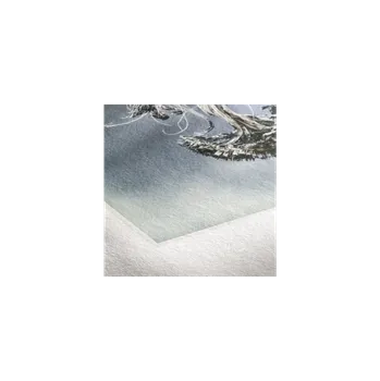 Fotopapír Hahnemühle Museum Etching 350 - 10 x 15 cm, 30 ks - 10640771