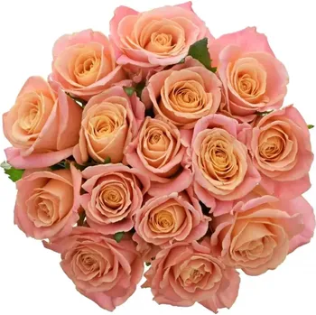 umělá květina Kytice 15 růžových růží MISS PIGGY 40 cm