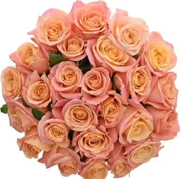 umělá květina Kytice 25 růžových růží MISS PIGGY 40cm