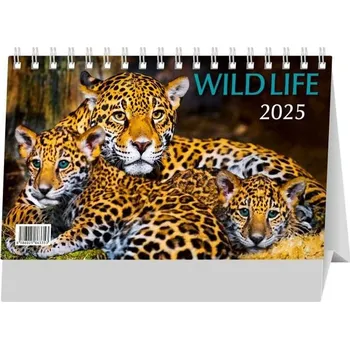 Kalendář Kalendář 2025 Mláďata, stolní, 23 x 14 cm
