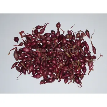 Cibulovina SAZEČKA CIBULE - KARMEN červená Hmotnost: 10 kg