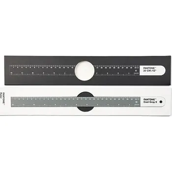 pravítka PANTONE 30 cm, Cool Gray 9