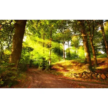 Infrazářič Topný infrapanel s obrazem - 84 Rámy: Černý, Výkon a rozměr: 500 W – 104 cm × 54 cm (20 m³)