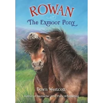 Rowan The Exmoor Pony - Westcott, Dawn