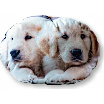 Dekorativní polštářek Dekorační polštářek s motivem Pejsci