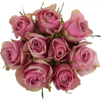 umělá květina Kytice 9 růžových růží ATHENA ROYALE 70 cm