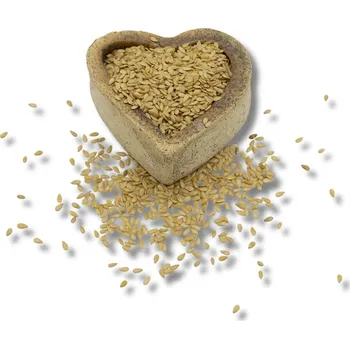 Sušená potravina FITBOY Lněné semínko zlaté 1000g DMT 03/2026