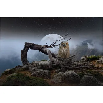 Přímotop Topný infrapanel s obrazem - 36 Rámy: Přírodní dřevo, Výkon a rozměr: 360 W – 89 cm × 54 cm (15 m³)